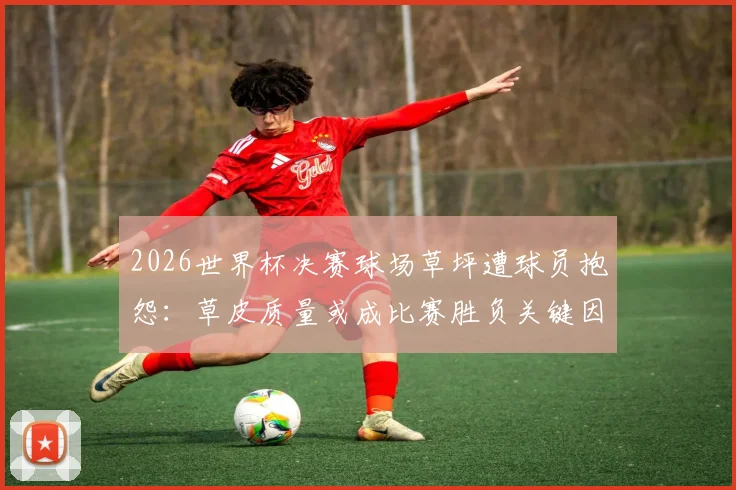 2026世界杯决赛球场草坪遭球员抱怨:草皮质量或成比赛胜负关键因素,西媒深度调查