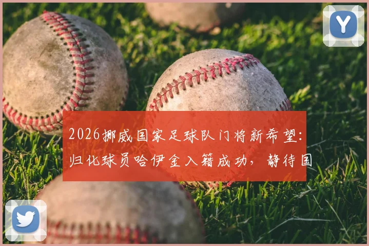 2026挪威国家足球队门将新希望:归化球员哈伊金入籍成功,静待国际足联批准