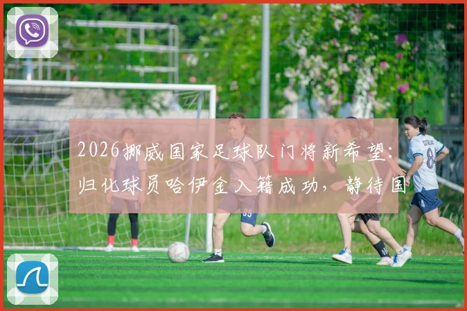 2026挪威国家足球队门将新希望：归化球员哈伊金入籍成功，静待国际足联批准
